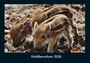 Tobias Becker: Waldbewohner 2026 Fotokalender DIN A4, KAL