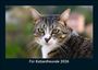 Tobias Becker: Für Katzenfreunde 2026 Fotokalender DIN A5, KAL