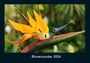 Tobias Becker: Blumenzauber 2026 Fotokalender DIN A4, KAL