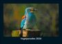 Tobias Becker: Vogelparadies 2026 Fotokalender DIN A5, KAL