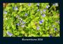 Tobias Becker: Blumenträume 2026 Fotokalender DIN A4, KAL