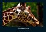 Tobias Becker: Giraffen 2026 Fotokalender DIN A4, KAL