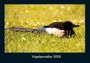 Tobias Becker: Vogelparadies 2026 Fotokalender DIN A4, KAL