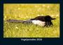 Tobias Becker: Vogelparadies 2026 Fotokalender DIN A5, KAL