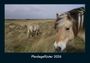 Tobias Becker: Pferdegeflüster 2026 Fotokalender DIN A4, KAL