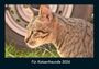Tobias Becker: Für Katzenfreunde 2026 Fotokalender DIN A4, KAL