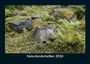 Tobias Becker: Naturlandschaften 2026 Fotokalender DIN A5, KAL