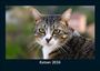 Tobias Becker: Katzen 2026 Fotokalender DIN A5, KAL