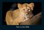 Tobias Becker: Tiere im Zoo 2026 Fotokalender DIN A4, KAL