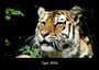 Tobias Becker: Tiger 2026 Fotokalender DIN A3, KAL