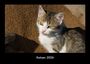 Tobias Becker: Katzen 2026 Fotokalender DIN A3, KAL