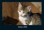 Tobias Becker: Katzen 2026 Fotokalender DIN A4, KAL
