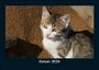 Tobias Becker: Katzen 2026 Fotokalender DIN A5, KAL