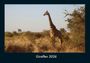 Tobias Becker: Giraffen 2026 Fotokalender DIN A4, KAL