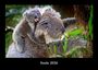 Tobias Becker: Koala 2026 Fotokalender DIN A3, KAL