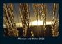 Tobias Becker: Pflanzen und Blüten 2026 Fotokalender DIN A5, KAL