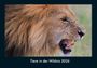 Tobias Becker: Tiere in der Wildnis 2026 Fotokalender DIN A4, KAL