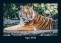 Tobias Becker: Tiger 2026 Fotokalender DIN A5, KAL