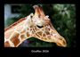 Tobias Becker: Giraffen 2026 Fotokalender DIN A3, KAL