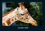 Tobias Becker: Giraffen 2026 Fotokalender DIN A4, KAL