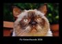 Tobias Becker: Für Katzenfreunde 2026 Fotokalender DIN A3, KAL