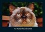 Tobias Becker: Für Katzenfreunde 2026 Fotokalender DIN A4, KAL