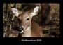 Tobias Becker: Waldbewohner 2026 Fotokalender DIN A3, KAL