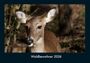 Tobias Becker: Waldbewohner 2026 Fotokalender DIN A4, KAL
