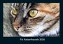 Tobias Becker: Für Katzenfreunde 2026 Fotokalender DIN A4, KAL