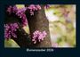 Tobias Becker: Blumenzauber 2026 Fotokalender DIN A5, KAL