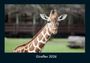 Tobias Becker: Giraffen 2026 Fotokalender DIN A4, KAL