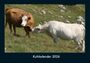 Tobias Becker: Kuhkalender 2026 Fotokalender DIN A4, KAL