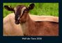 Tobias Becker: Welt der Tiere 2026 Fotokalender DIN A4, KAL