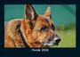 Tobias Becker: Hunde 2026 Fotokalender DIN A5, KAL