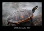 Tobias Becker: Schildkrötenzauber 2026 Fotokalender DIN A3, KAL