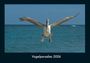 Tobias Becker: Vogelparadies 2026 Fotokalender DIN A4, KAL