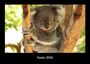 Tobias Becker: Koala 2026 Fotokalender DIN A3, KAL