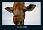 Tobias Becker: Giraffen 2026 Fotokalender DIN A4, KAL
