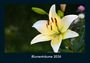 Tobias Becker: Blumenträume 2026 Fotokalender DIN A4, KAL