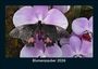 Tobias Becker: Blumenzauber 2026 Fotokalender DIN A5, KAL