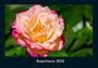 Tobias Becker: Rosentraum 2026 Fotokalender DIN A4, KAL