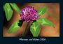 Tobias Becker: Pflanzen und Blüten 2026 Fotokalender DIN A4, KAL
