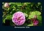 Tobias Becker: Blumenzauber 2026 Fotokalender DIN A5, KAL