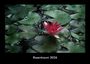 Tobias Becker: Rosentraum 2026 Fotokalender DIN A3, KAL