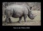 Tobias Becker: Tiere in der Wildnis 2026 Fotokalender DIN A3, KAL