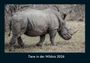Tobias Becker: Tiere in der Wildnis 2026 Fotokalender DIN A4, KAL