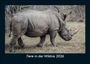 Tobias Becker: Tiere in der Wildnis 2026 Fotokalender DIN A5, KAL