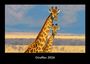 Tobias Becker: Giraffen 2026 Fotokalender DIN A3, KAL