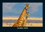 Tobias Becker: Giraffen 2026 Fotokalender DIN A5, KAL