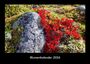 Tobias Becker: Blumenkalender 2026 Fotokalender DIN A3, KAL